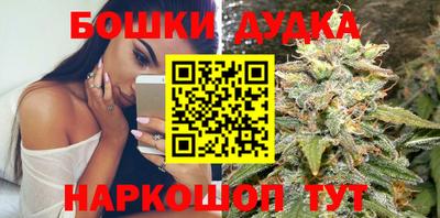 прущие крисы Гатчина