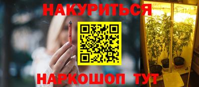 прущие крисы Гатчина