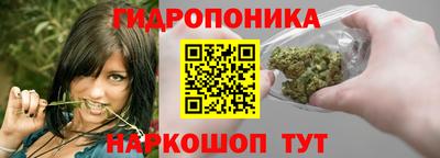 соль ск Гай