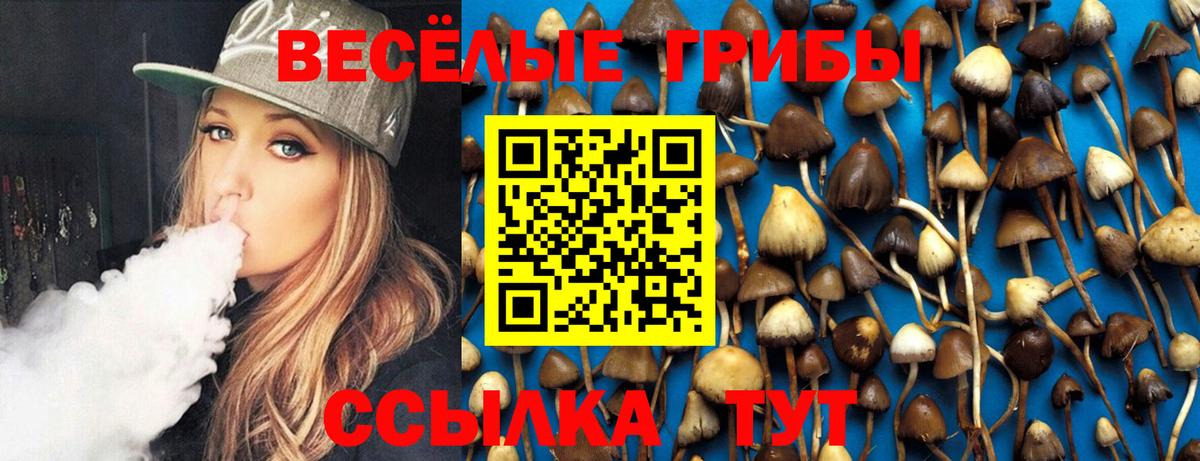 Белебей  Псилоцибиновые грибы Cubensis  Вход с VPN  Галлюциногенные грибы Psilocybine cubensis 